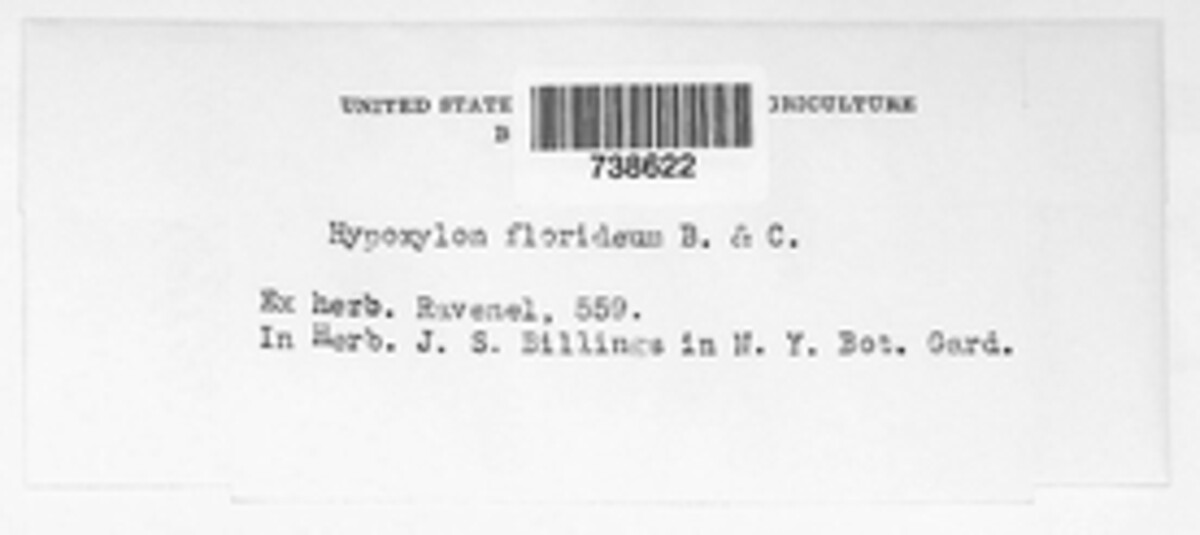 Hypoxylon rubiginosum image